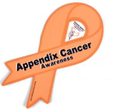 Appendix Cancer Magnets, Buttons & Decals