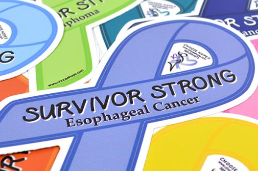 Survivor Strong Decal - Medium (Closeout)