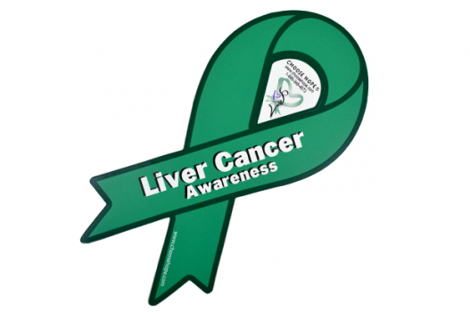 liver cancer awareness ribbon magnet in emerald green