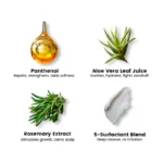 Image showing the key ingredients of Alram mild conditioning shampoo which are Rosemary Extract, aloe, 5 surfactant blend and pantheol.